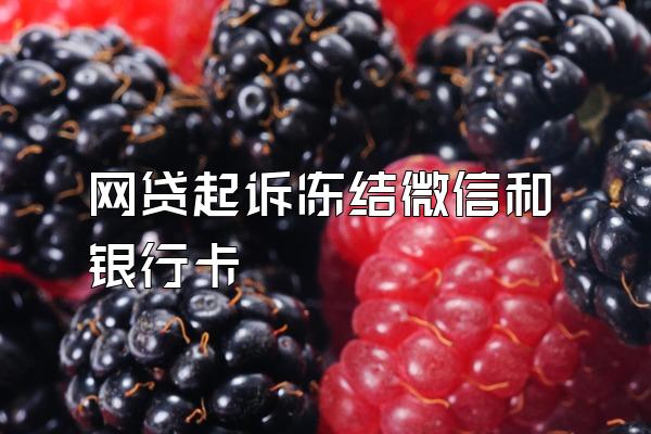 网贷起诉冻结微信和银行卡