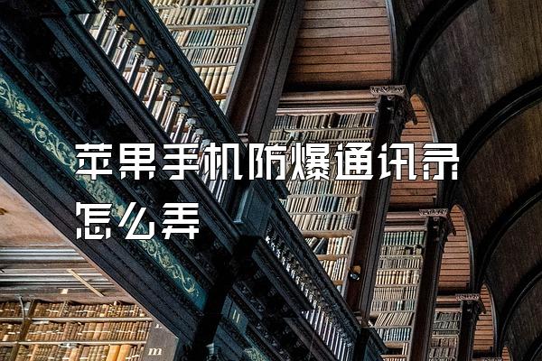 苹果手机防爆通讯录怎么弄