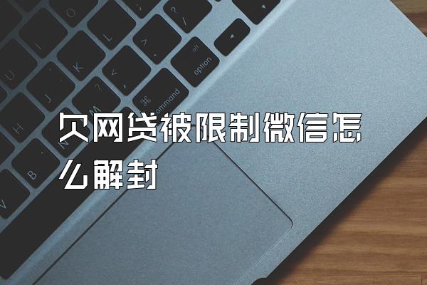 欠网贷被限制微信怎么解封