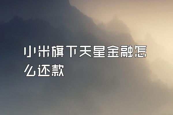 小米旗下天星金融怎么还款