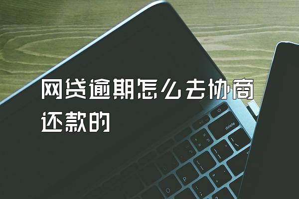 网贷逾期怎么去协商还款的