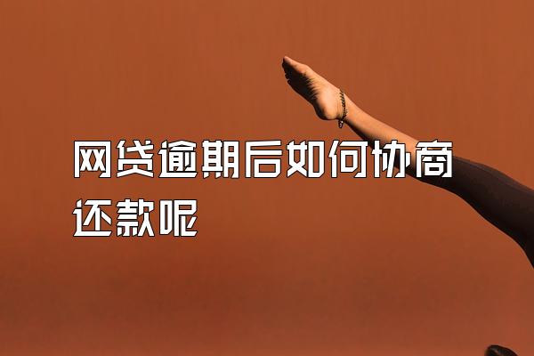 网贷逾期后如何协商还款呢