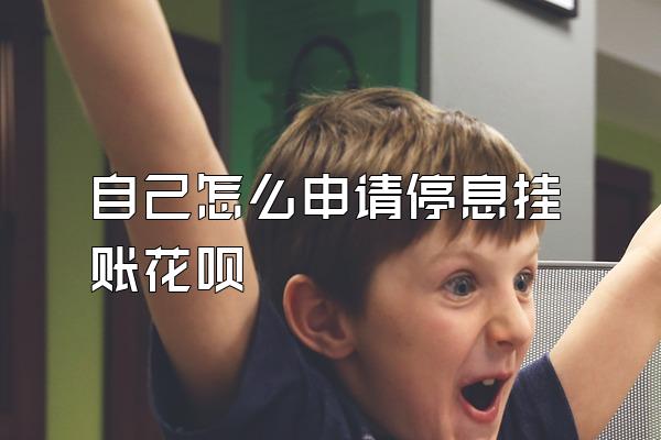 自己怎么申请停息挂账花呗
