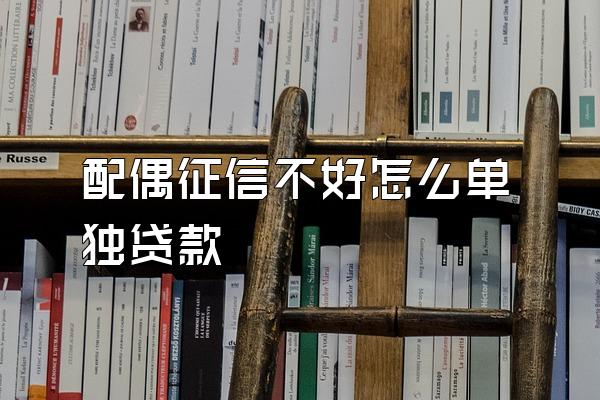 配偶征信不好怎么单独贷款