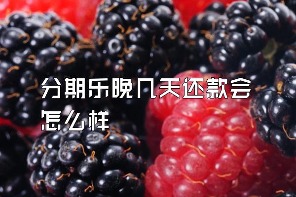 分期乐晚几天还款会怎么样