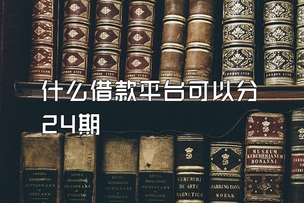 什么借款平台可以分24期