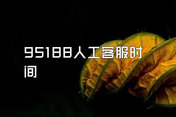 95188人工客服时间