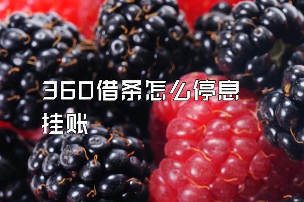 360借条怎么停息挂账