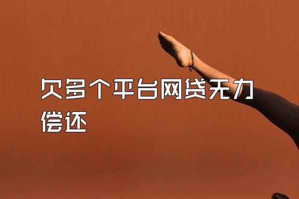 欠多个平台网贷无力偿还