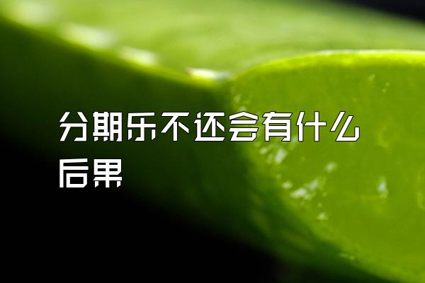 分期乐不还会有什么后果