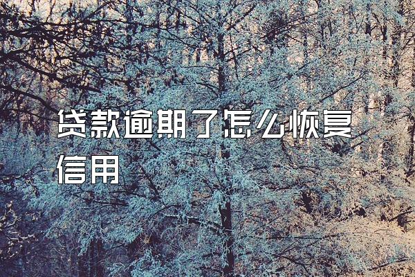 贷款逾期了怎么恢复信用