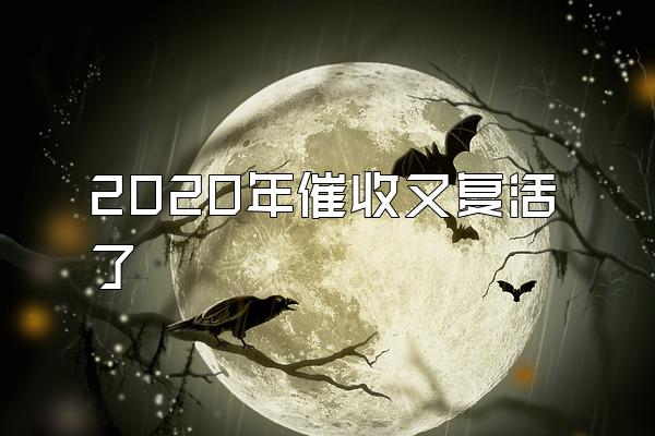 2020年催收又复活了