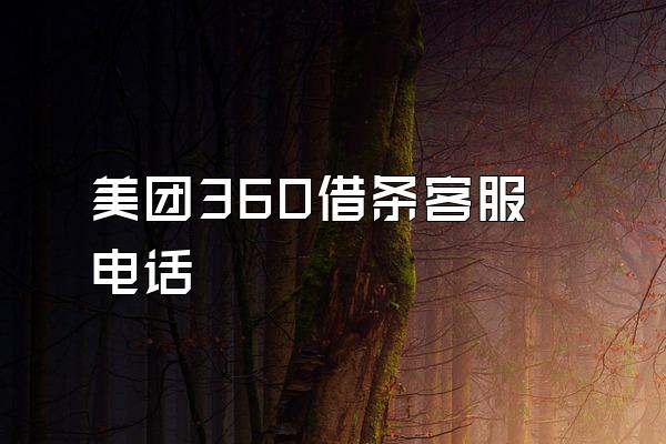 美团360借条客服电话