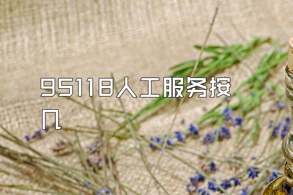 95118人工服务按几