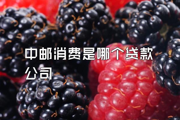 中邮消费是哪个贷款公司