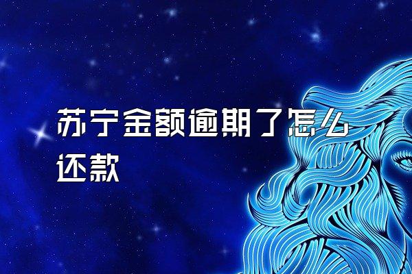 苏宁金额逾期了怎么还款