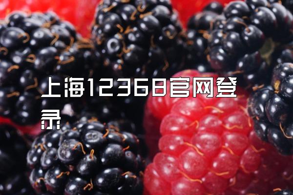 上海12368官网登录