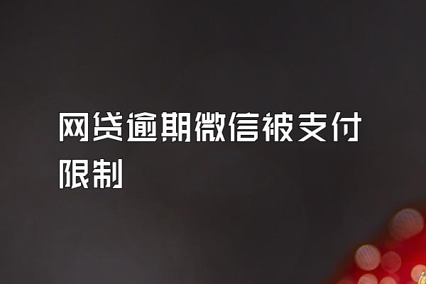 网贷逾期微信被支付限制