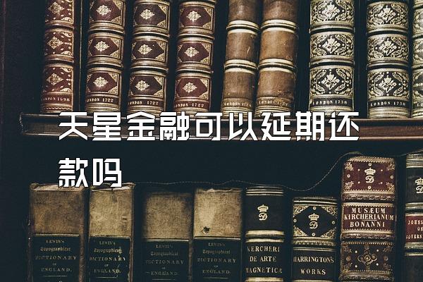 天星金融可以延期还款吗