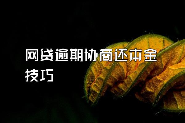 网贷逾期协商还本金技巧