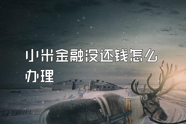 小米金融没还钱怎么办理
