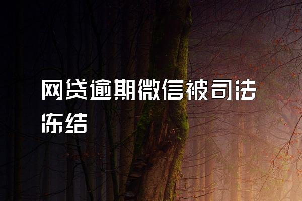 网贷逾期微信被司法冻结