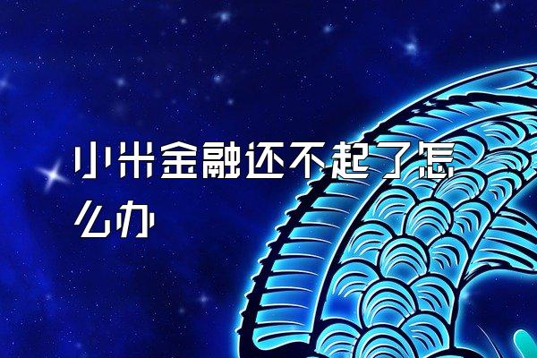 小米金融还不起了怎么办