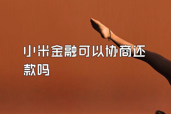 小米金融可以协商还款吗