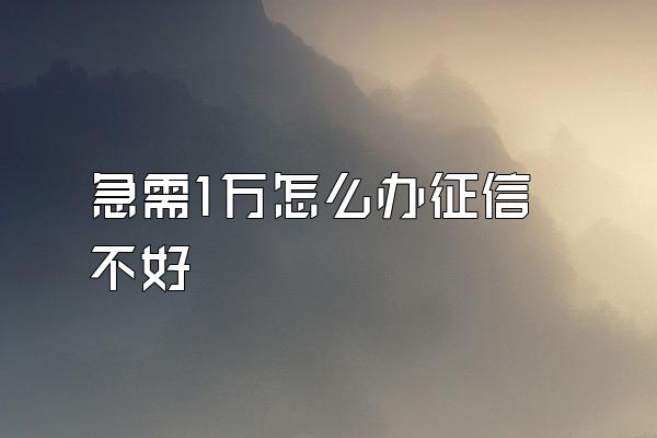 急需1万怎么办征信不好