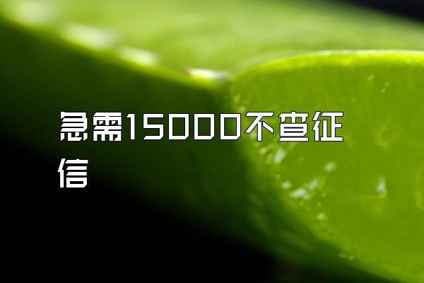 急需15000不查征信