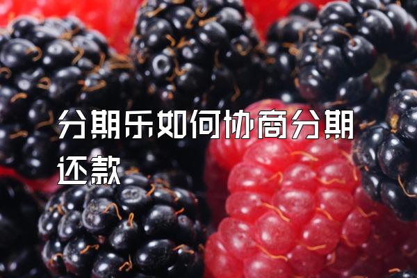 分期乐如何协商分期还款