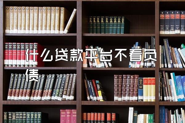 什么贷款平台不看负债