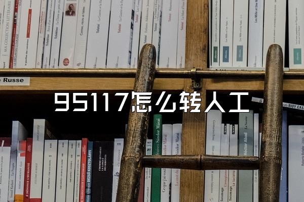 95117怎么转人工