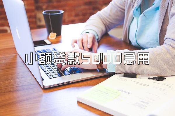 小额贷款5000急用