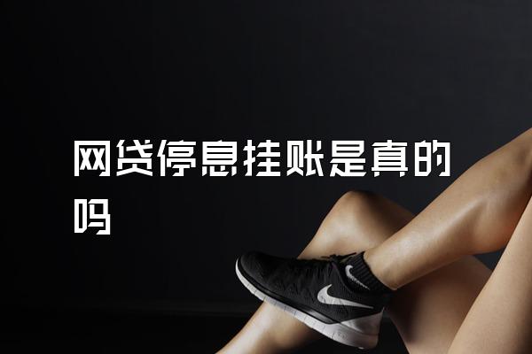 网贷停息挂账是真的吗