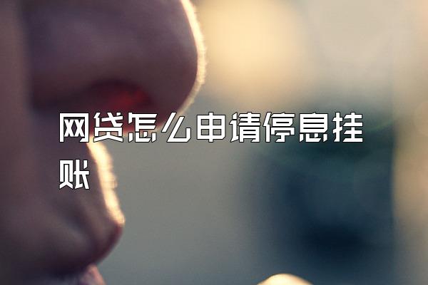 网贷怎么申请停息挂账