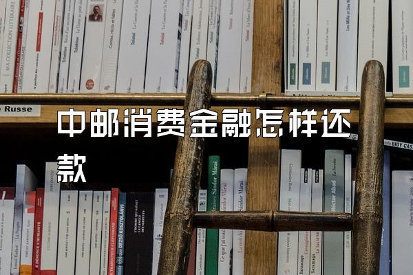 中邮消费金融怎样还款