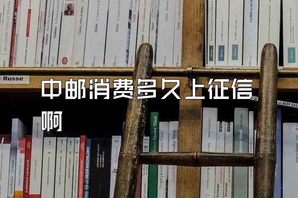 中邮消费多久上征信啊