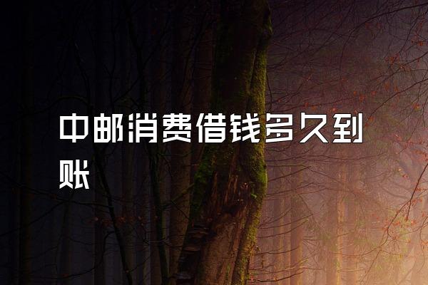 中邮消费借钱多久到账