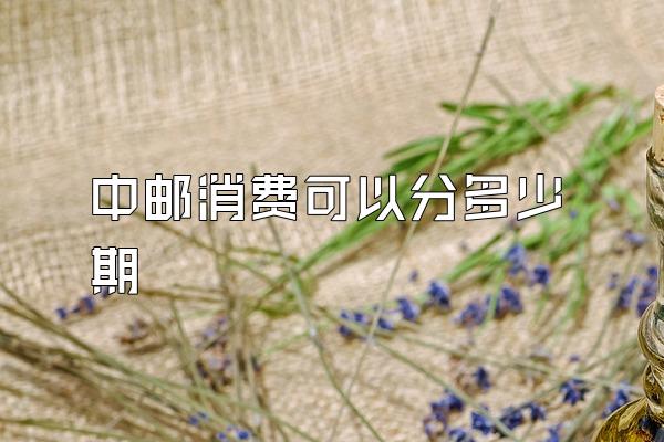 中邮消费可以分多少期