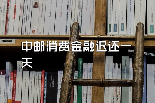 中邮消费金融迟还一天