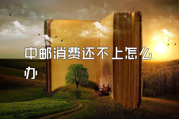 中邮消费还不上怎么办