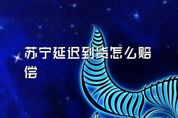 苏宁延迟到货怎么赔偿