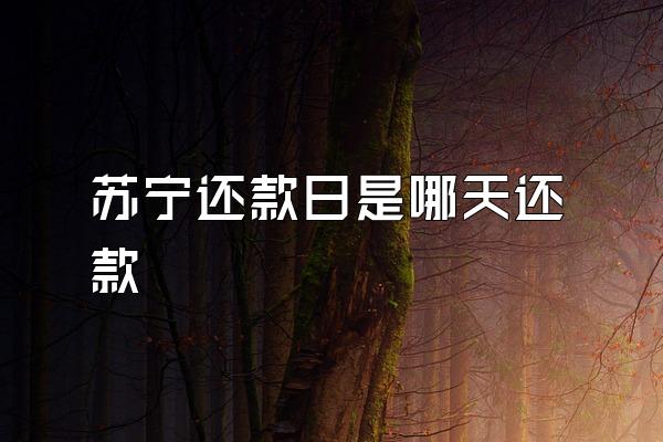 苏宁还款日是哪天还款