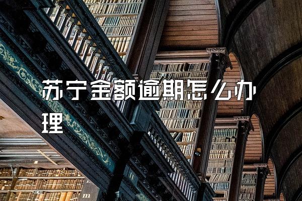 苏宁金额逾期怎么办理