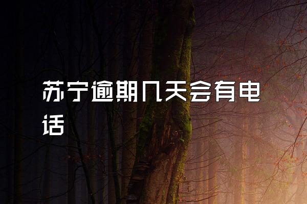 苏宁逾期几天会有电话