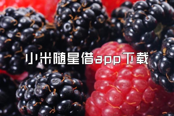 小米随星借app下载