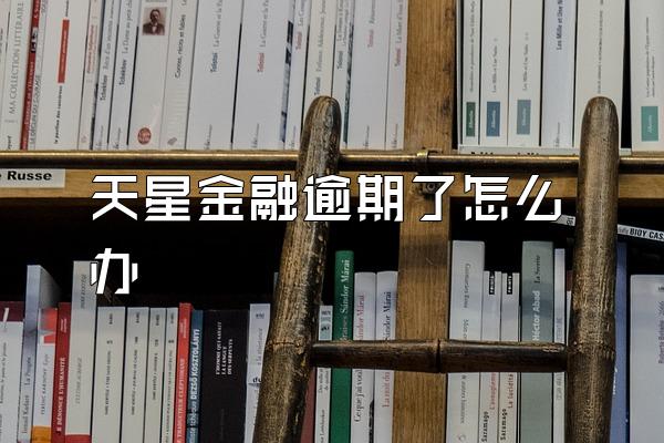 天星金融逾期了怎么办