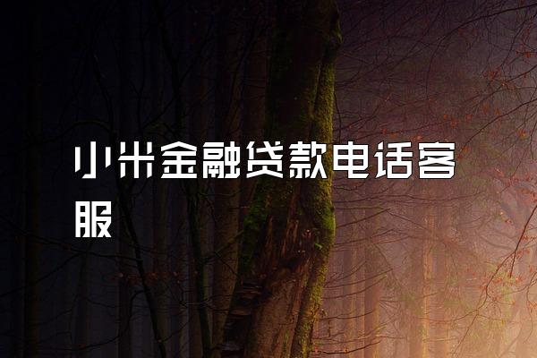 小米金融贷款电话客服