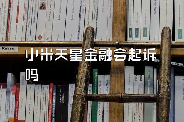 小米天星金融会起诉吗